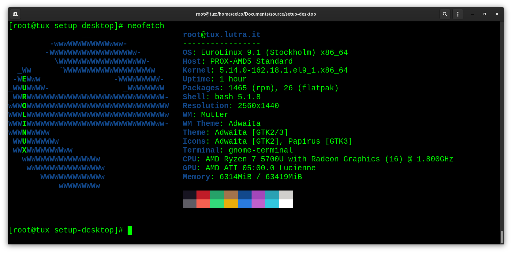 Neofetch output Eurolinux9 on Tux